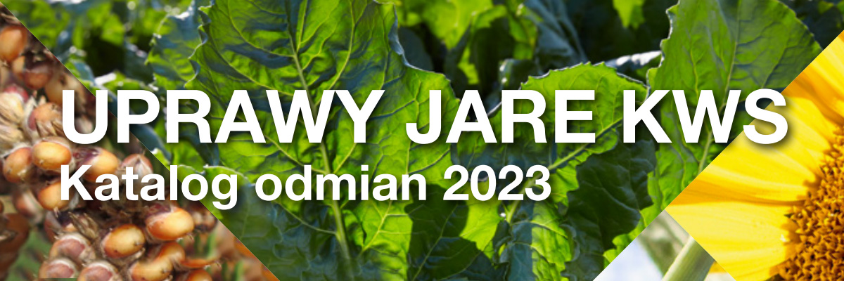 katalog uprawy jare 2023