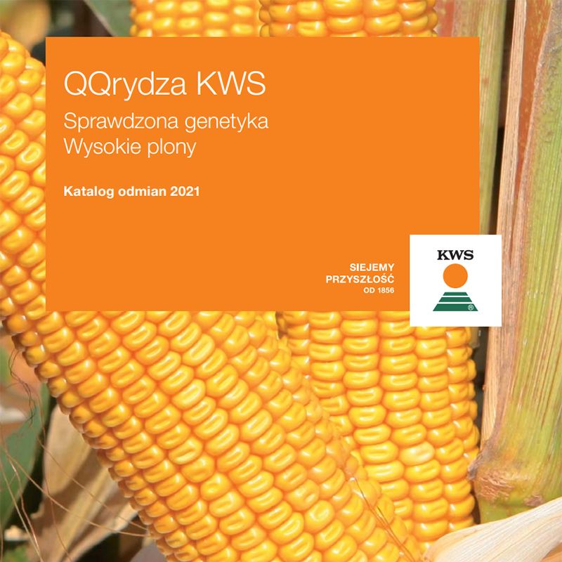 Katalog odmian kukurydzy 2021