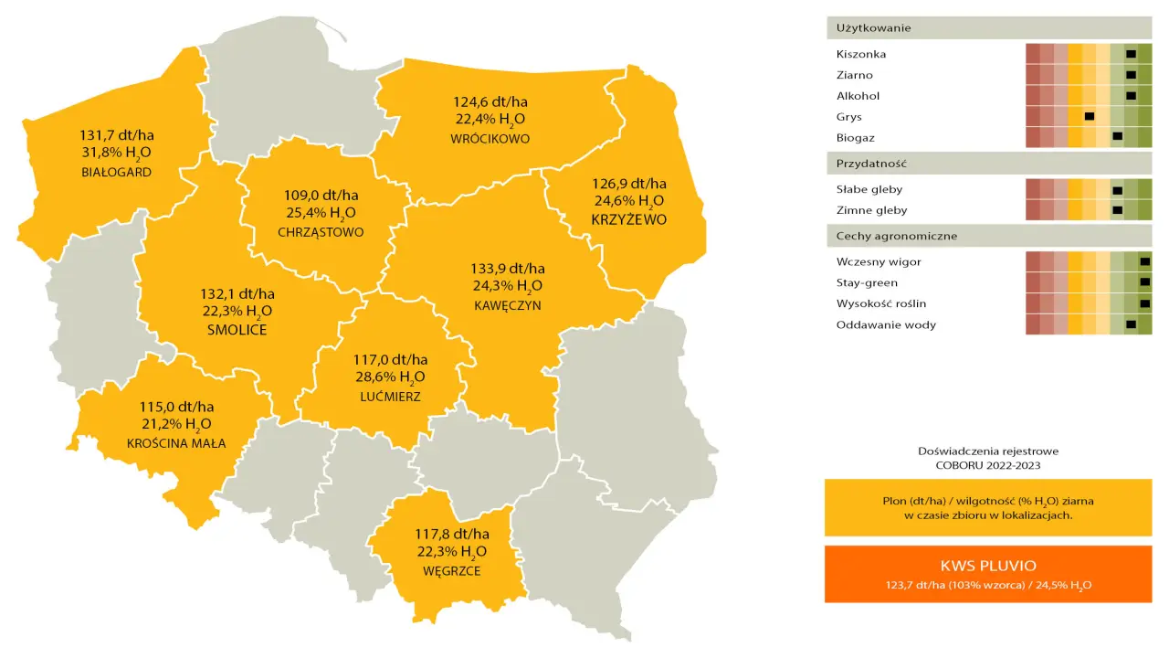 kukurydza kws pluvio