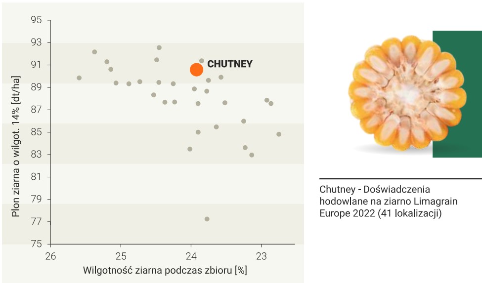 chutney-mapka