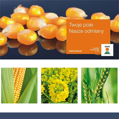 Agroserwis KWS nr.6 - Konserwacja i kiszenie mokrego ziarna kukurydzy