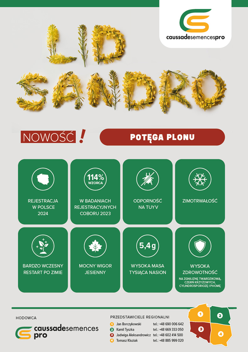 Lid Sandro