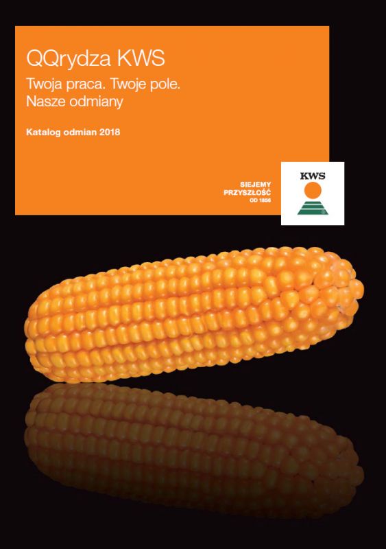 Katalog odmian kukurydzy na rok 2018