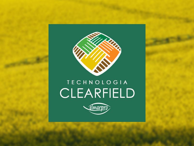 CLEARFIELD - Technologia produkcji rzepaku