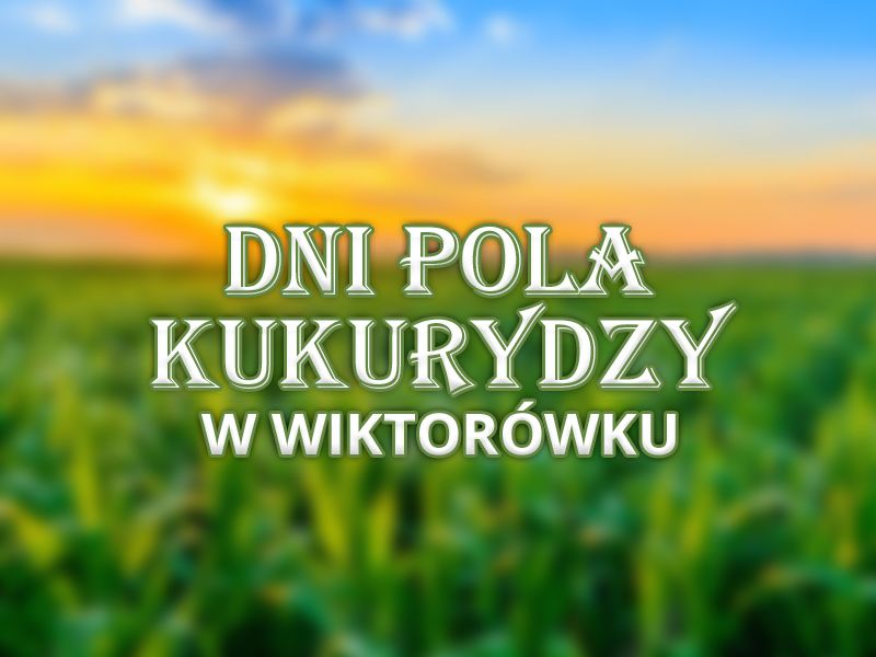 Dni Pola Kukurydzy w Wiktorówku
