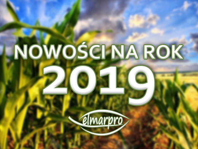 Kukurydza - Nowości 2019