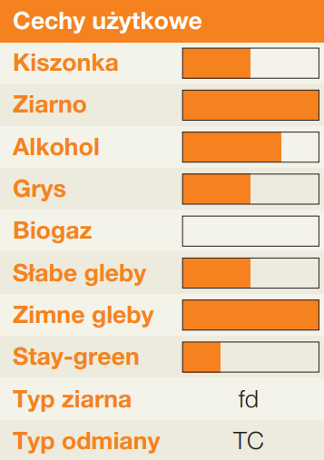 kukurydza_silvinio