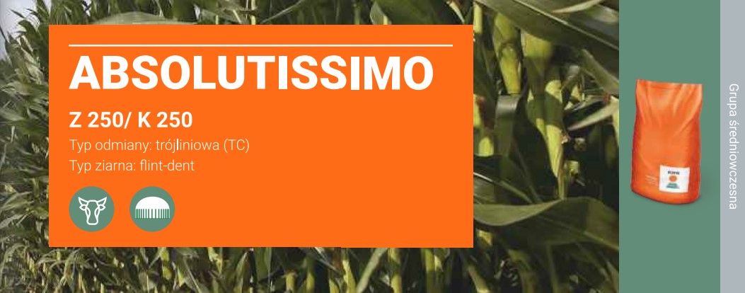 absolutissmimo-banner