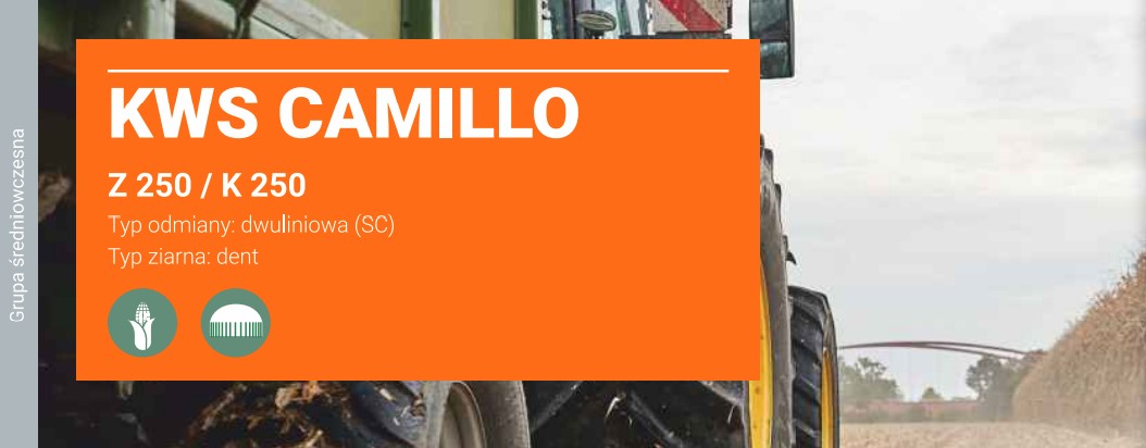 kwscamillo-banner