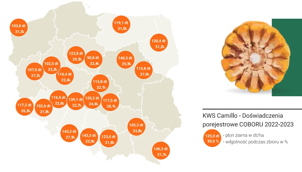 kwscamillo-mapka class=