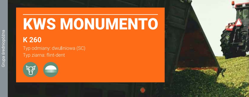 kwsmonumento-banner