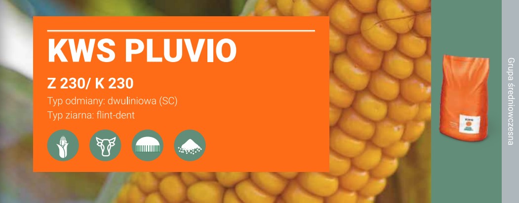 kwspluvio-banner