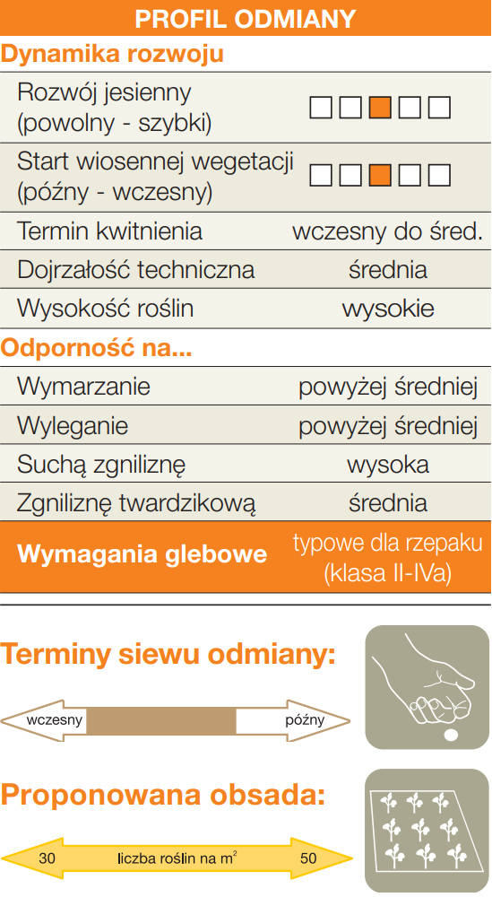 rzepak mieszańcowy KWS CYRILL CL F1