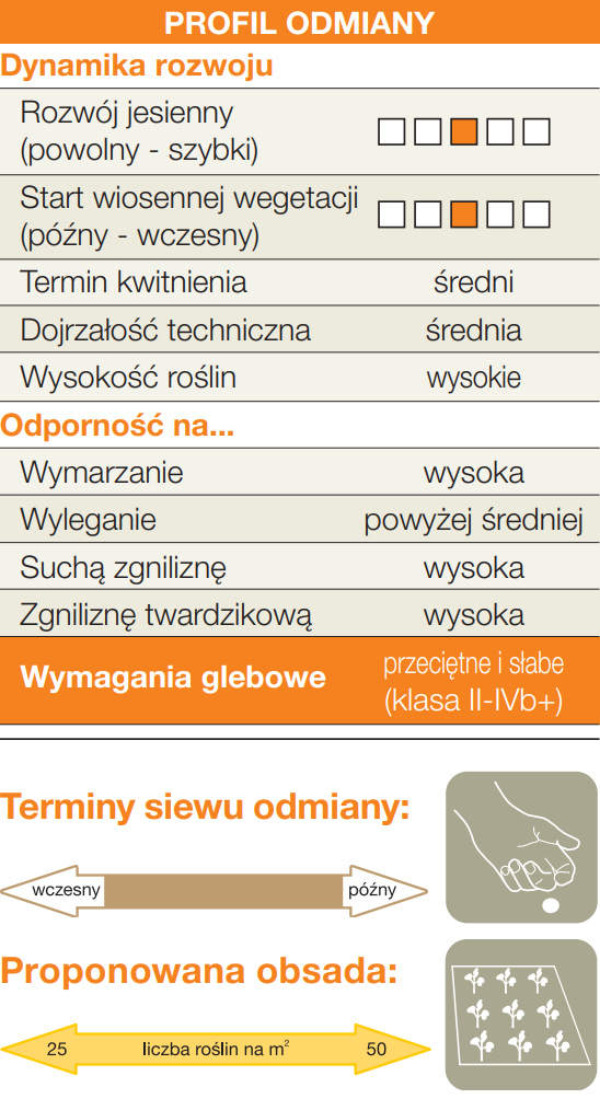 rzepak mieszańcowy ERMINO KWS F1