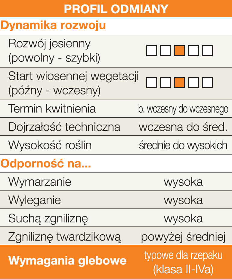 rzepak ozimy FALICIANO KWS 1