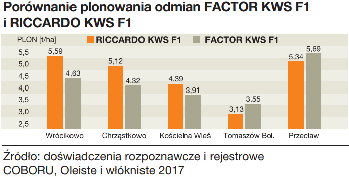 rzepak mieszańcowy RICCARDO KWS F1